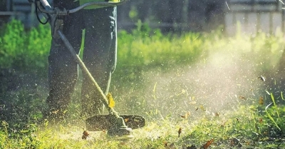 Υποχρεωτικός ο καθαρισμός οικοπέδων και ακάλυπτων χώρων έως τις 15 Ιουνίου