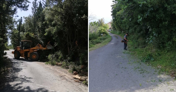Συνεχίζονται οι παρεμβάσεις καθαρισμού των ερεισμάτων των οδών σε Ταΰγετο και Πάρνωνα
