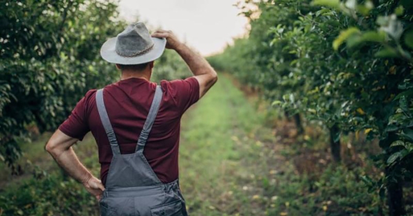 Επιστολή ΠΕΣΠ με θέμα: Αίτημα Επικαιροποίησης Λίστας Δικαιούχων για το Μ23 «Έκτακτη προσωρινή Στήριξη Ρευστότητας»