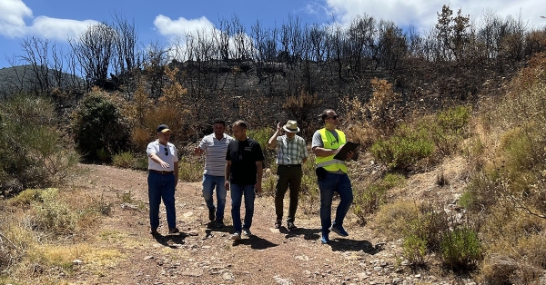 Αυτοψία στις πυρόπληκτες περιοχές του Δήμου Τριφυλίας
