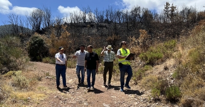 Αυτοψία στις πυρόπληκτες περιοχές του Δήμου Τριφυλίας