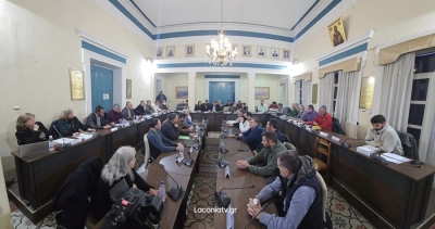 Ψήφισμα του Δημοτικού Συμβουλίου Σπάρτης για την εγκληματικότητα στα Καλύβια Σοχάς