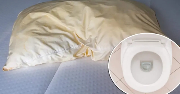 Μαξιλαροθήκες πιο βρώμικες από καπάκι τουαλέτας