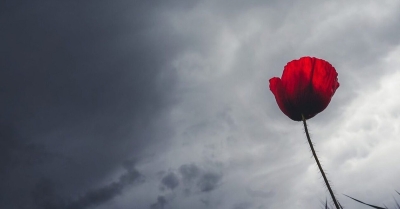 Καιρός: Η πρόγνωση Ζιακόπουλου για την πορεία του Μάρτη - «Άγνωστο αν θα είναι γδάρτης...»