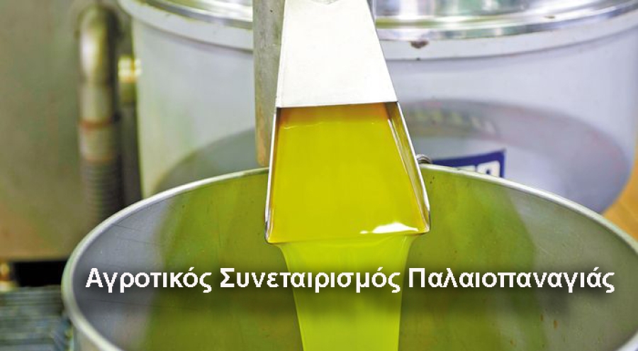 Αγροτικός Συνεταιρισμός Παλαιοπαναγιάς | Πώληση 20 τόνων ελαιολάδου με 5 € το κιλό