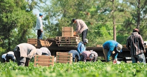 Τρίπολη: Τοπικό Εργαστήριο PRIMACENTERS για την ένταξη μεταναστών στον πρωτογενή τομέα στην Πελοπόννησο