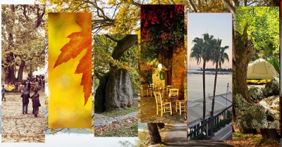 Φθινόπωρο στη Λακωνία | Η εποχή που ντύνει τη γη με χρώματα και νοσταλγία