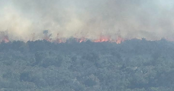 Αναγγελία ζημιάς από την πυρκαγιά στην Καρίτσα Δήμου Ευρώτα