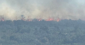 Υπό μερικό έλεγχο τέθηκε η πυρκαγιά στην περιοχή Λάγια Ανατολικής Μάνης