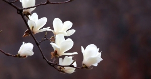 Καιρός: Τριαντάρια προ των πυλών σε όλη την Ελλάδα - Πότε χειμωνιάζει ξανά