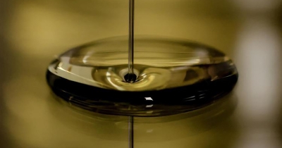 Στα 4,90 ευρώ το κιλό πούλησε ελαιόλαδο συνεταιρισμός της Κρήτης, η πορεία των τιμών στην Ισπανία