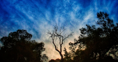 Καιρός με δύο πρόσωπα την 25η Μαρτίου: Πώς θα κάνει παρέλαση η Ελλάδα - Η πρόγνωση Τσατραφύλλια