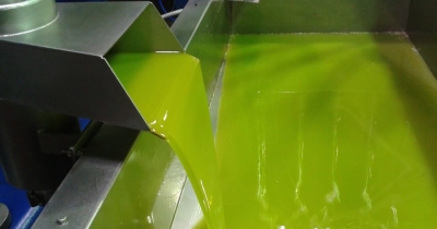 Συνεχίζονται οι άγονοι διαγωνισμοί ελαιολάδου, χαμηλές τιμές και στασιμότητα εμπορίου