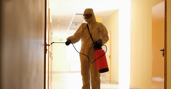 Πόσο σημαντική είναι η επαγγελματική απολύμανση και μυοκτονία στο χώρο εργασίας και στο σπίτι