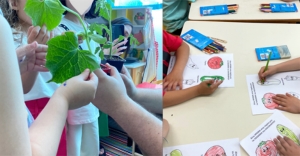 Τα λαχανικά του καλοκαιριού στα νηπιαγωγεία του Δήμου Ευρώτα